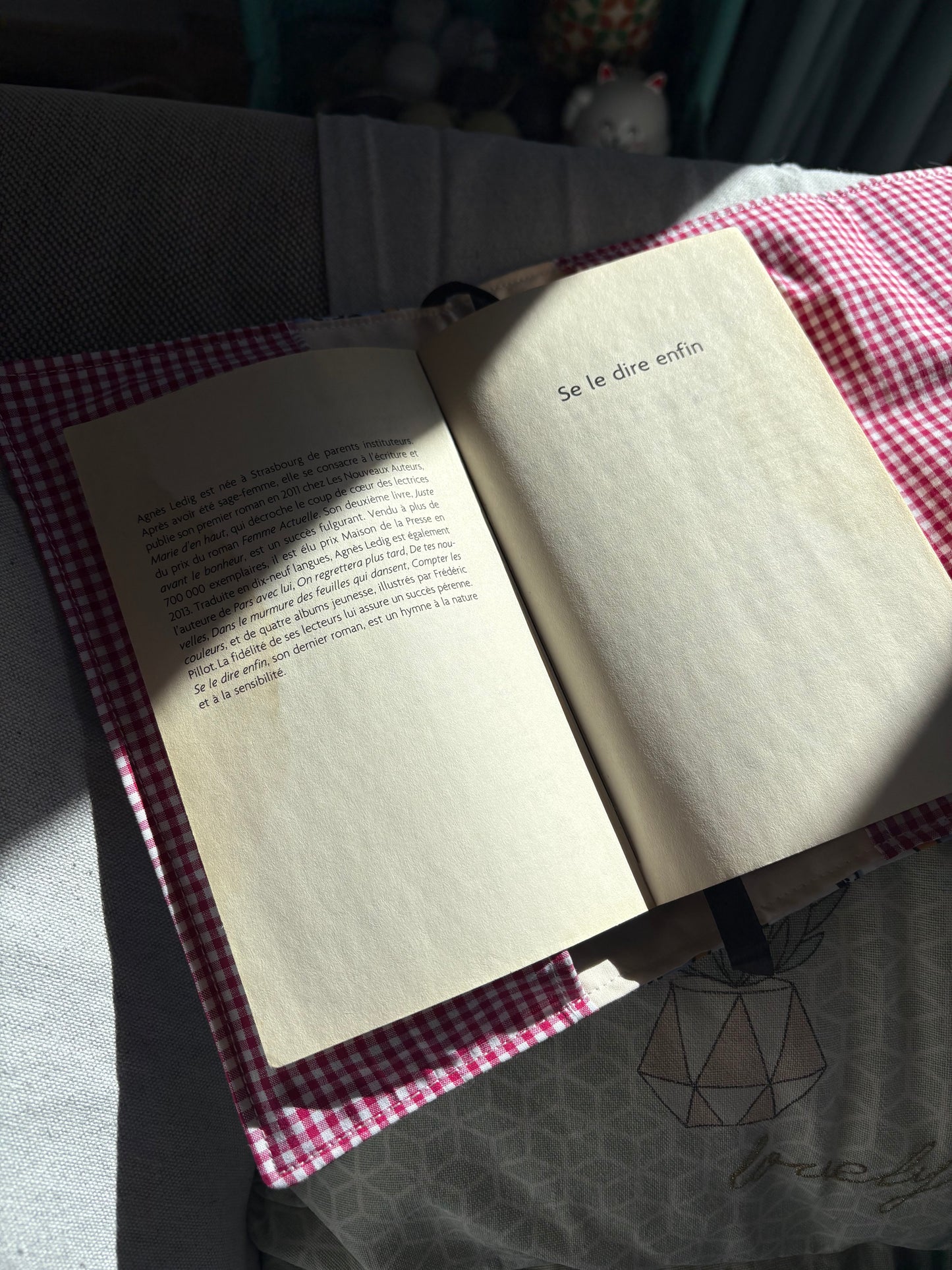 Funda para libros manga