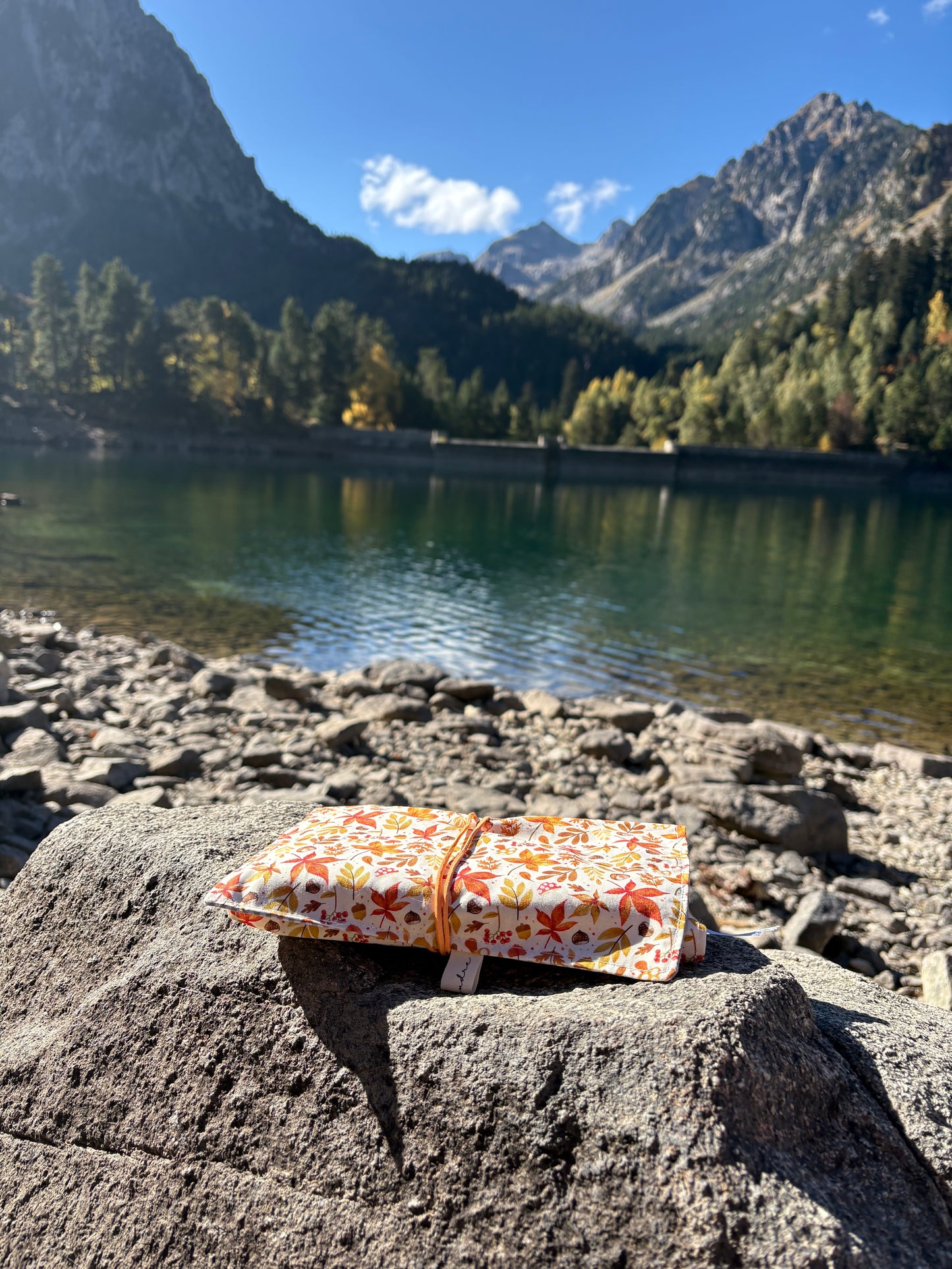 Funda de libro hojas de otoño