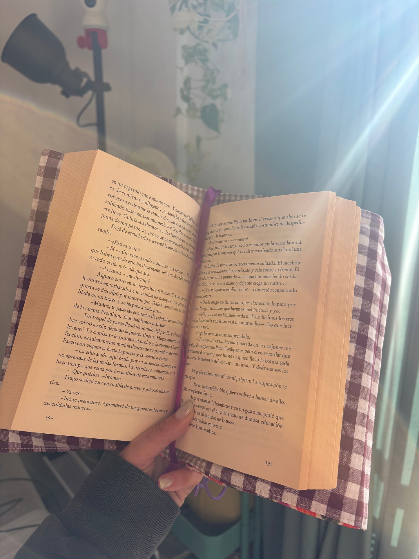 Funda para libros calabazas