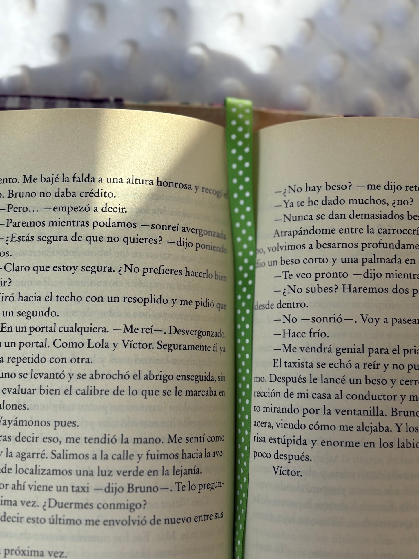 Funda para libros calabazas