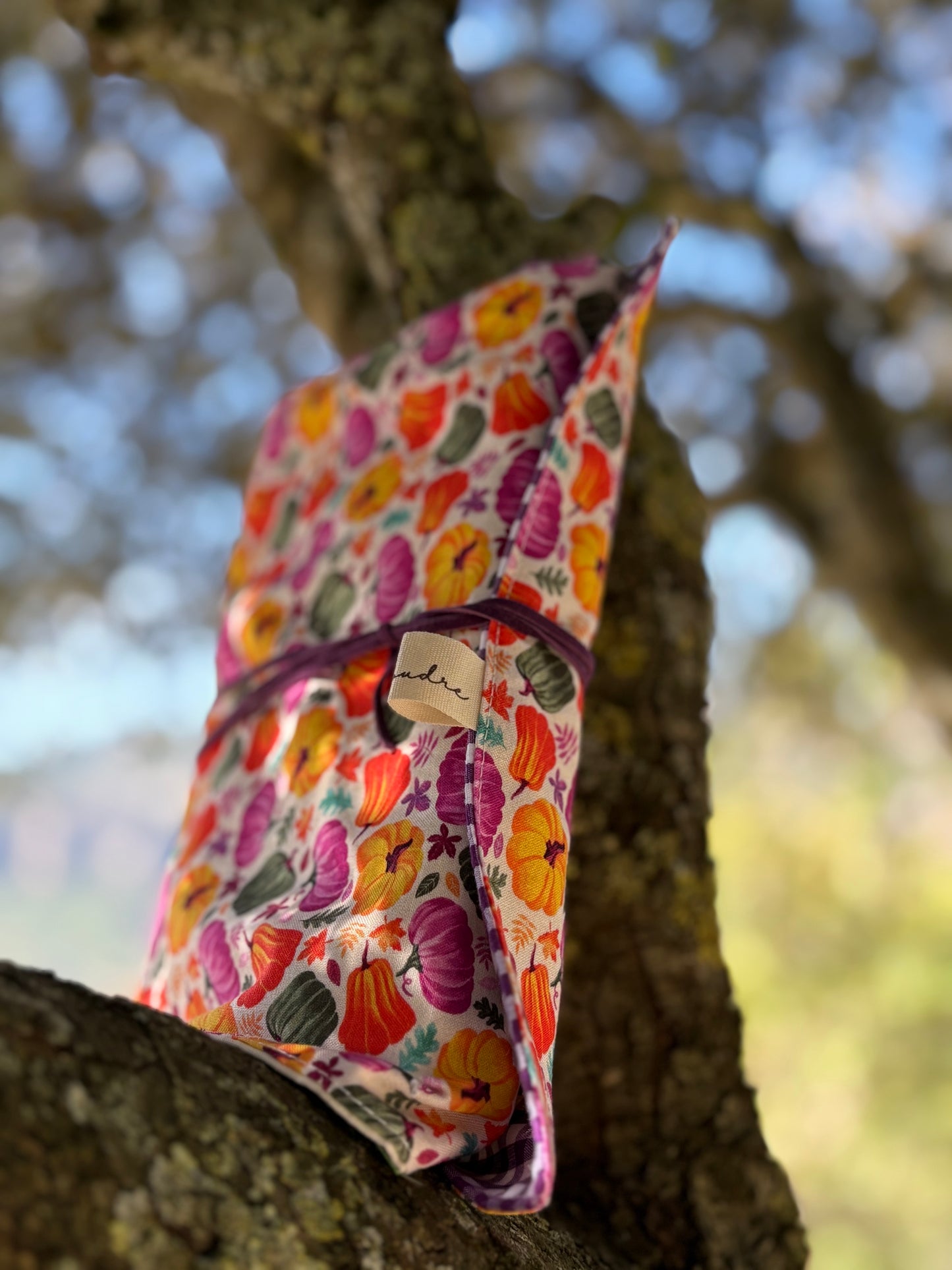 Funda para libros calabazas