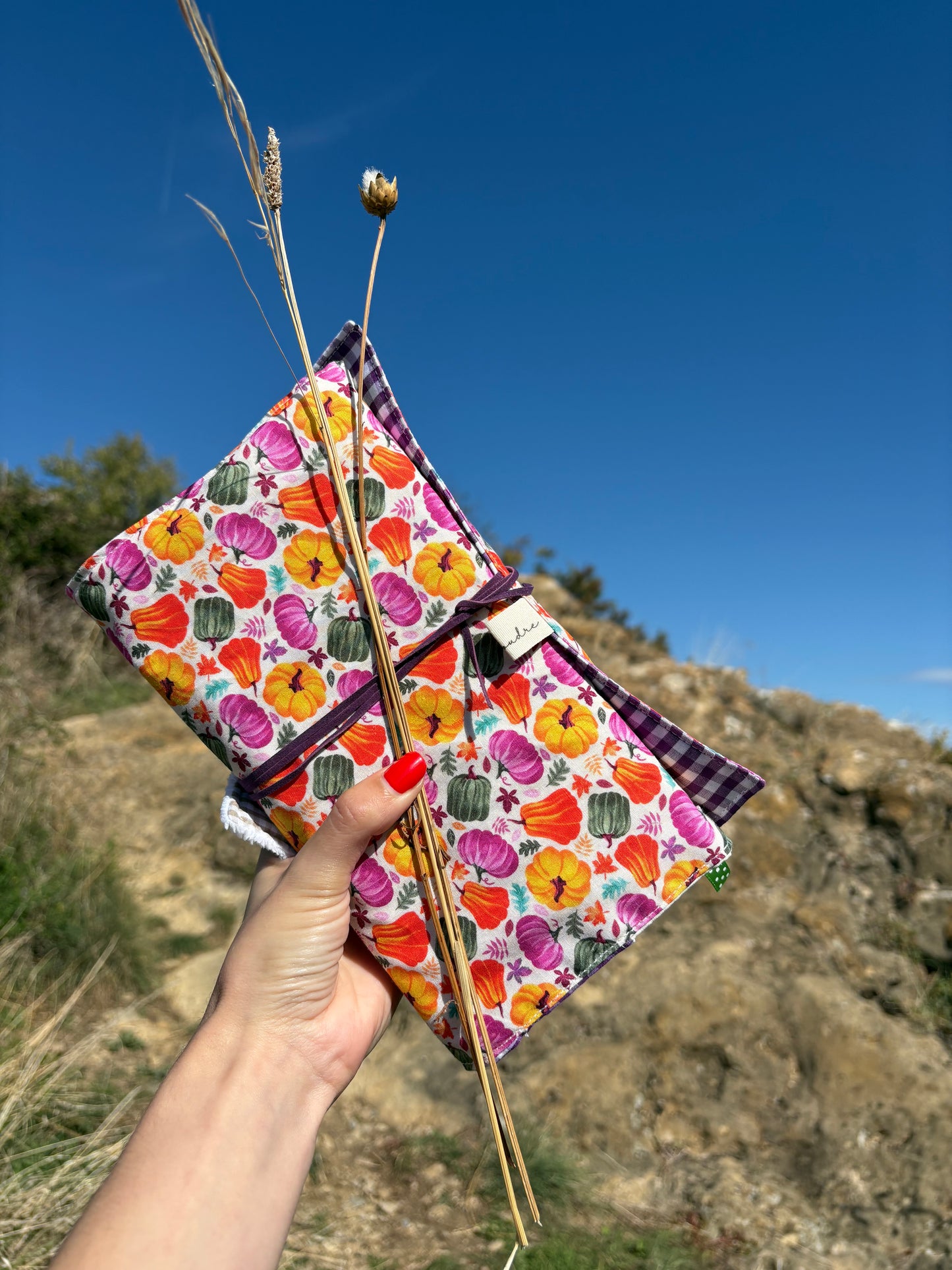 Funda para libros calabazas