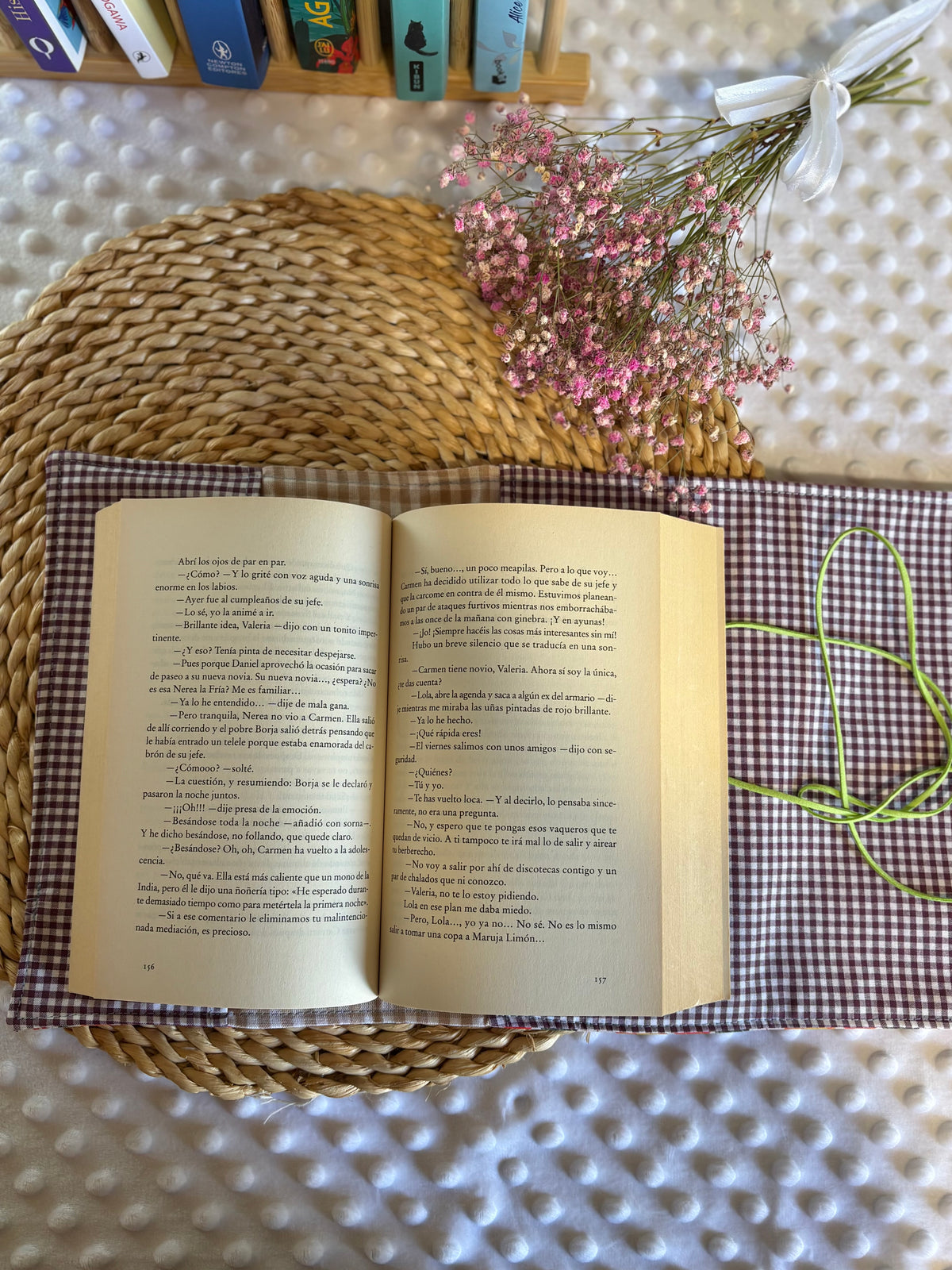 Funda para libros calabazas
